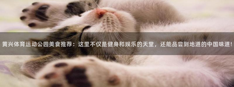 探球体育：黄兴体育运动公园美食推荐：这里不仅是健身和娱乐的天堂，还能品尝到地道的中国味道!