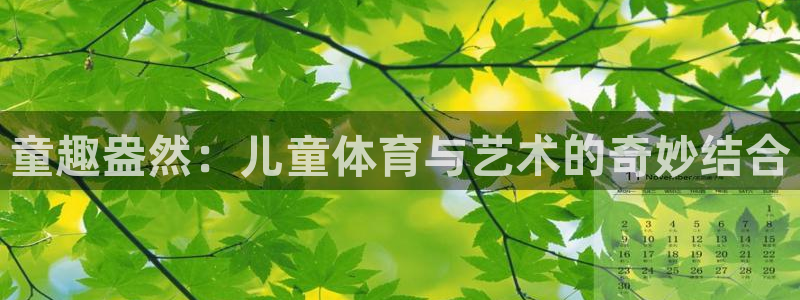 探球体育比分