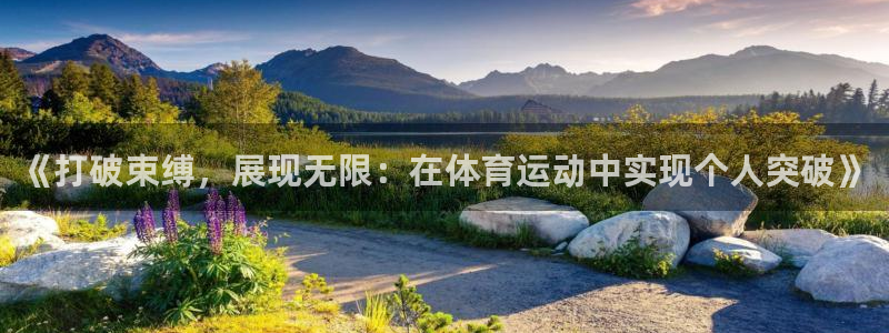 探球体育app官网下载