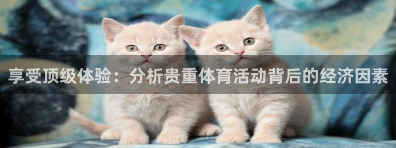 探球体育官网