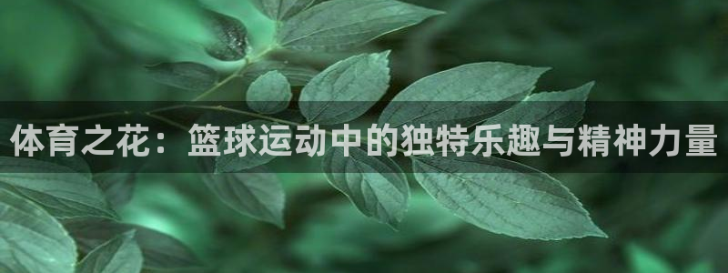关键词