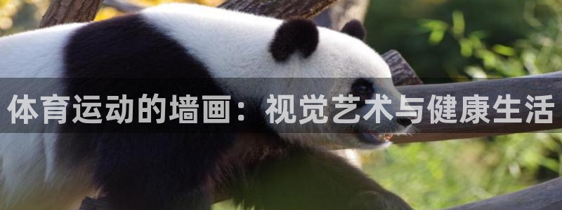 探球体育比分即时比分：体育运动的墙画：视觉艺术与健康生活