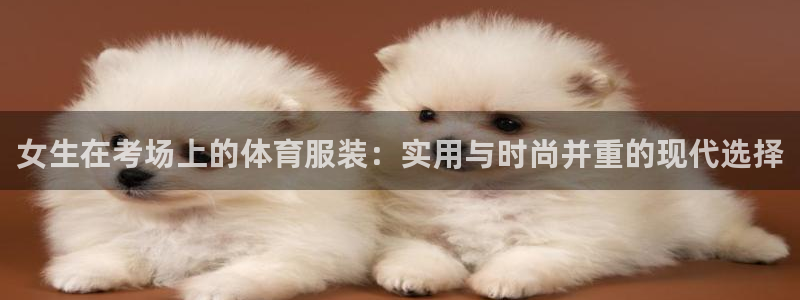 探球体育直播