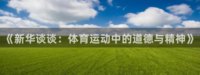 探球体育比分