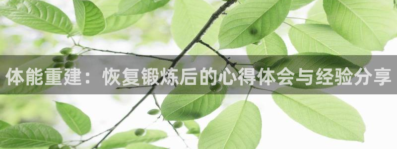 探球体育直播：体能重建：恢复锻炼后的心得体会与经验分享