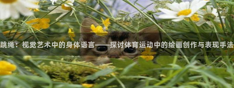 探球体育足球即时比分