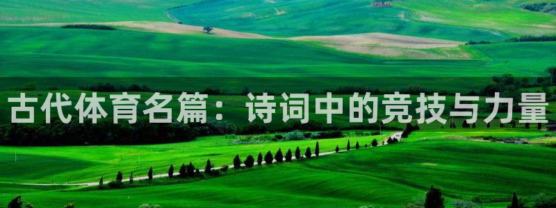 探球体育官网