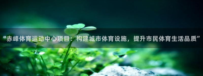 探球体育官网