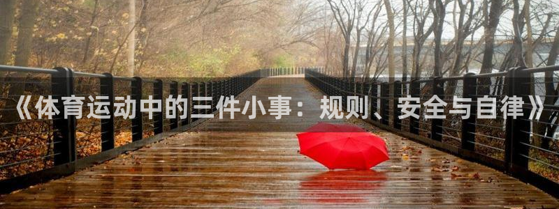 探球体育比分即时比分：《体育运动中的三件小事：规则、安全与自律》
